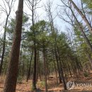 동해IC주변 이미지