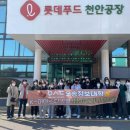 마이스터베이커리 이미지