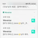 데이지민