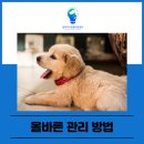 방학동물병원 이미지