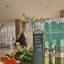 pet45다7582 | 경주 애견동반 숙소 키녹 시그니처 온수풀 내돈내산