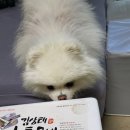 김상태 | 너튜브보고 충동구매한 김상태 구운 황토보리굴비 받자마자 구워봤어요.