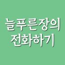 늘푸른장