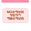 MG손해보험주식회사