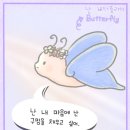 셀라토이즈