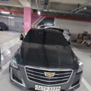 생존신고 및 기변신고[w/Reborn CT6 Sport] 이미지