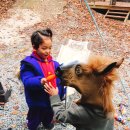 마운틴캠핑장 이미지