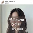 굳뜨헤어 이미지