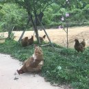 문배식당