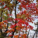 백두대간 10기(북진) 22회차 한계령_ 공릉 능선_마등령 단풍 산행 멋지게 다녀 왔어요 이미지