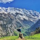 힐링나라 이미지