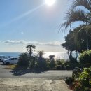 섶섬 아우룸 이미지