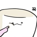 오드투디저트 이미지