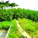 산책길 이미지