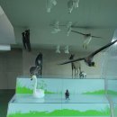 생태영상센터 이미지