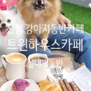 트윈하우스카페