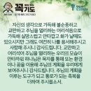 콩깍지 이미지