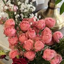 NR-48[김포대로]-하-40 | February Bye 🫧, Hello, March✨