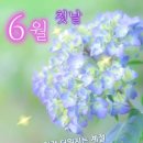 첫째 Daum카페