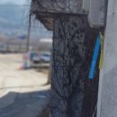 봉두슈퍼 이미지