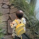 코지랜드어린이집 | 옷 ootd 모음 및 사이즈 후기(모이몰른/해피프린스/베베나인/몰리멜리/밀크마일/에뜨와/해피랜드/아가방)