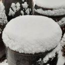 통일촌장단콩마을 이미지