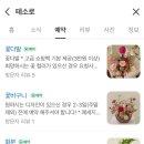 테소로 | [울산] 테소로 / 꽃다발, 화분, 꽃바구니 그리고 꽃배달까지 가능한 감성 가득 울산 동구 꽃집