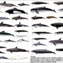 고래공인중개사사무소 이미지