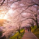 참빛자연농원민박 | 우리나라 소도시 여행에 대해 알아 보아요^^