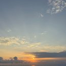 네스트렌트카 이미지