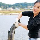 연어의고향 이미지