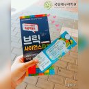 브릭파크 네이버블로그