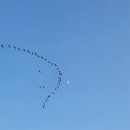 블루아일랜드 캠핑장 이미지