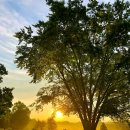 해돋이로 이미지