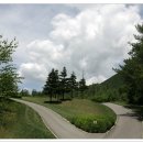 용평 버치힐골프클럽 이미지