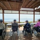 제주휠체어투어