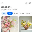 피오유플레르