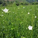 창수농장 이미지