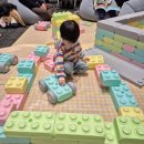 신나는 영어 그림책 | 노부영 페스타에서 득템한 영어그림책들 (ft. 행사 후기)