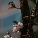 태릉입구역 7번출구 이미지