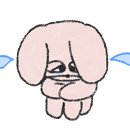 잠실숲사랑니구강악안면외과치과의원 이미지