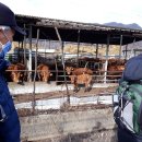 (주)청우엔지니어링 이미지