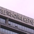 프래그먼 이미지