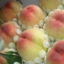 참한우농장 이미지