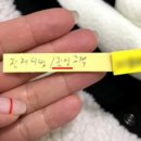 고객세탁소 서울신문