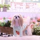 아콩하우스 - 시흥시 봉우재로69번길 14 | 아콩하우스