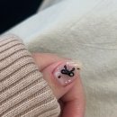 민벨라아트