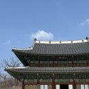 성산 꿈꾸는 | 믿을 수가 없어 꿈을 꾸는 걸까