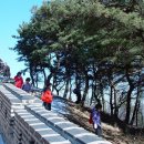 숲속통나무 이미지