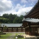 합천블루베리 | 합천 | 합천 영상테마파크 카페 우비정 한옥호텔 숙소